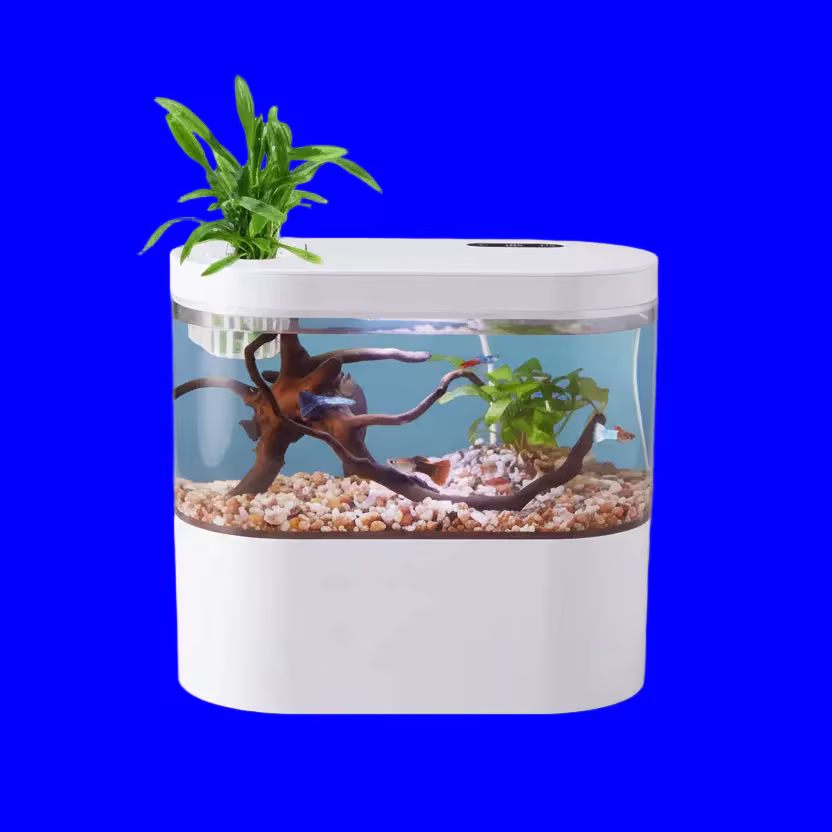 Desktop Mini Aquarium Self-Circulating Fish Tank
