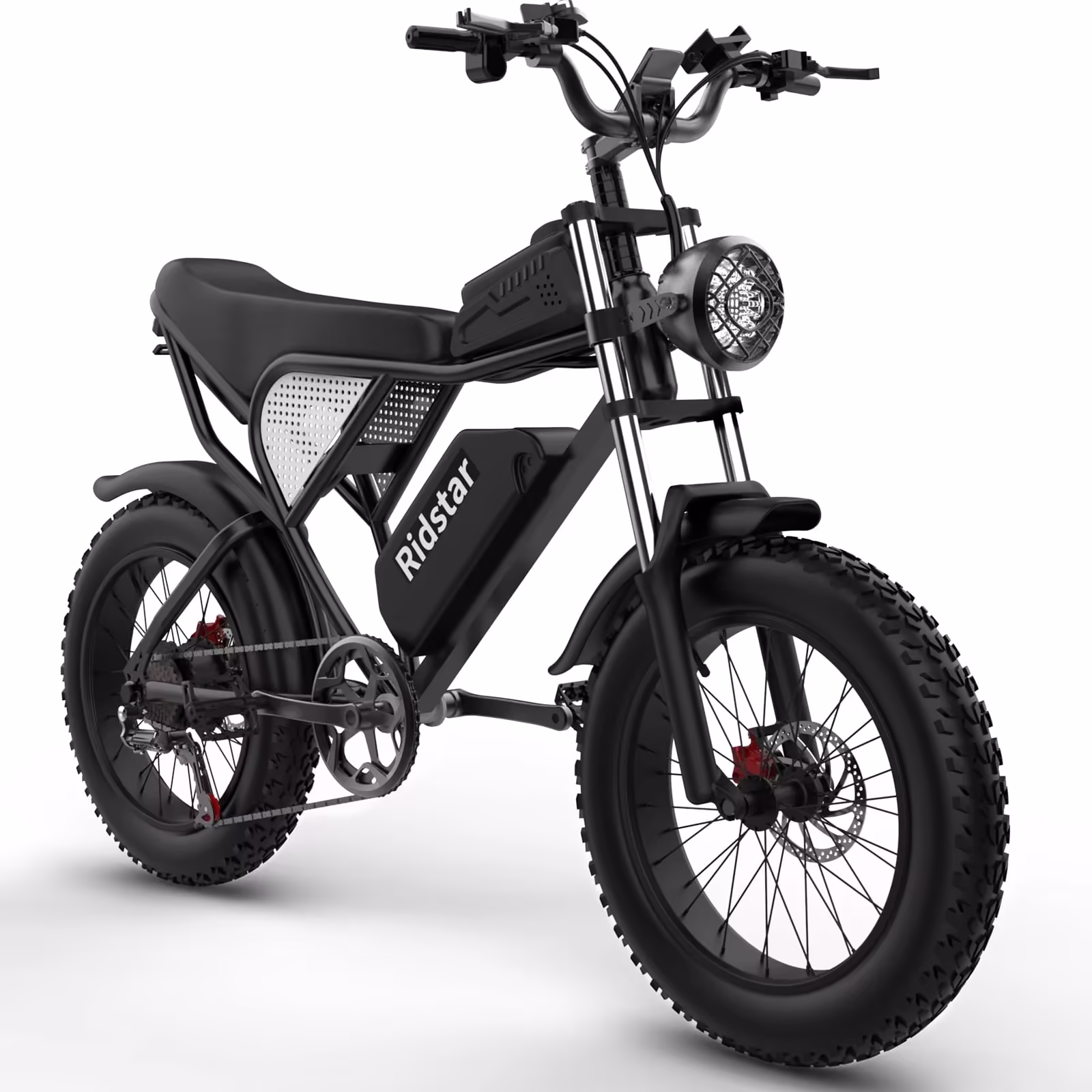 Electric Bike for Adults Ridstar, 20" Fat Tire Electric Motorcycle, 1000W Electric Bike with Removable 48V/20ah Battery E - Bike Shimano 7 Full Suspension Electric Bicycle