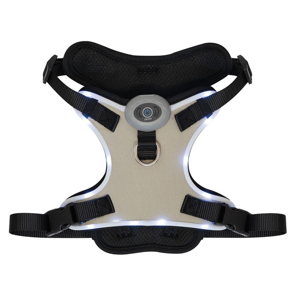 Heart To Tail Beige LED Dog Harness – M