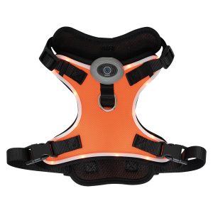 Heart To Tail Orange LED Dog Harness – L
