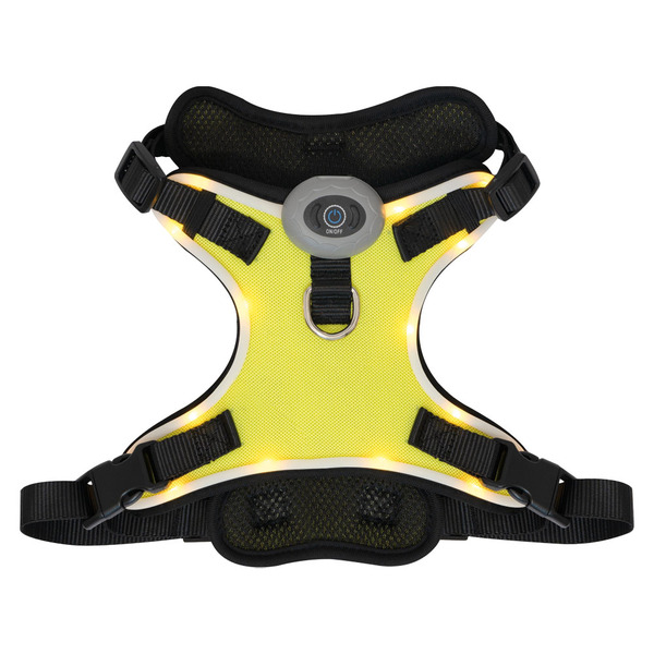 Heart To Tail Yellow LED Dog Harness – L