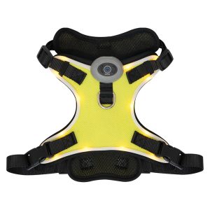 Heart To Tail Yellow LED Dog Harness – S