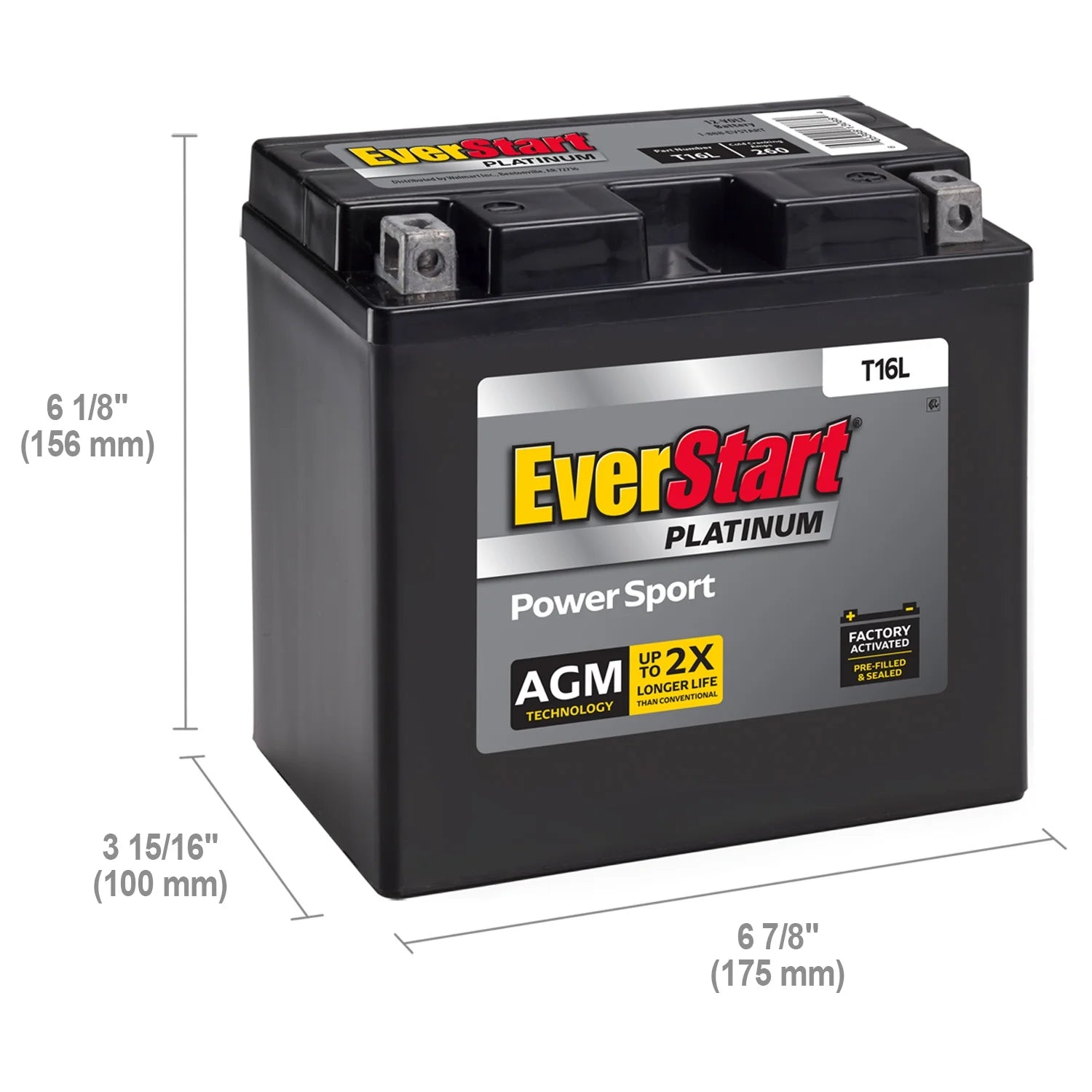 2026 New EverStart Platinum AGM Power Sport Battery, Group Size T16L 12 Volt, 260 CCA - Image 5