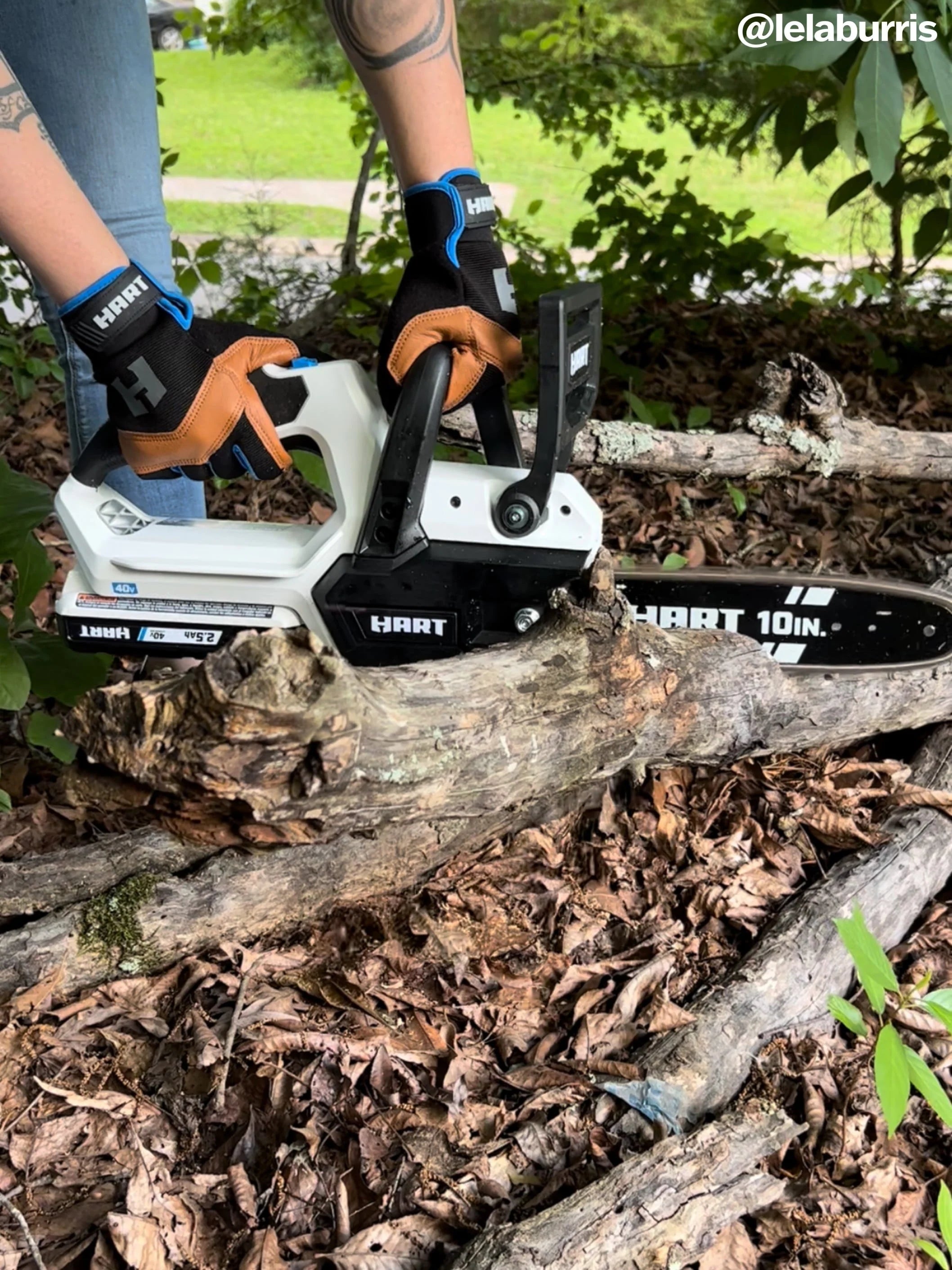 2026 New HART 40-Volt 10-Inch Battery-Powered Chainsaw Kit, (1) 2.5 Ah Lithium-Ion Battery - Image 11
